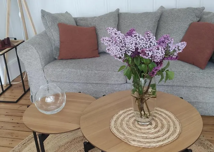 Des Roses, Comme A La Maison