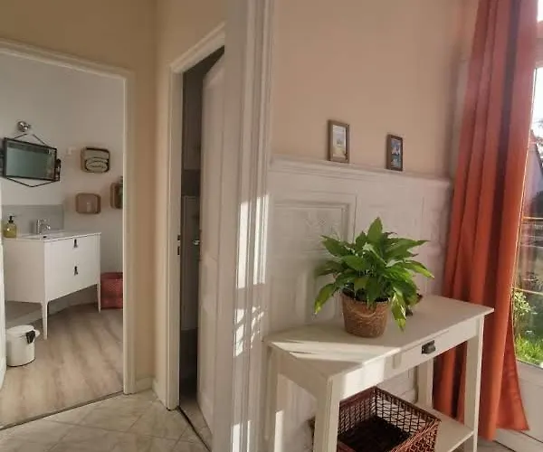 Des Roses, Comme A La Maison