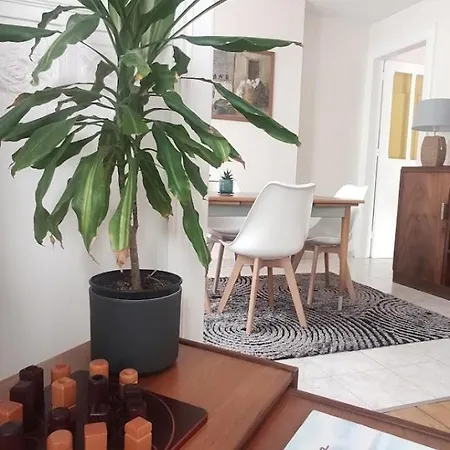 Des Roses, Comme A La Maison Cherbourg en Cotentin