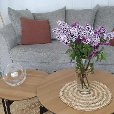 Des Roses, Comme A La Maison