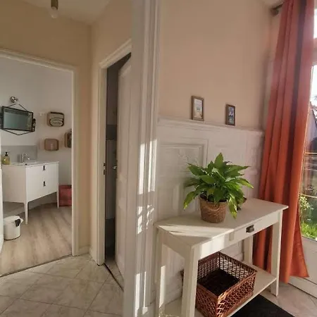 Des Roses, Comme A La Maison