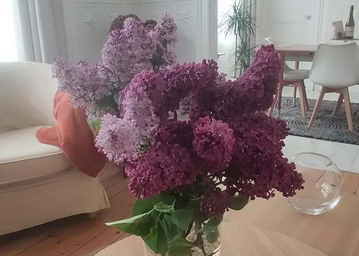 Des Roses, Comme A La Maison *